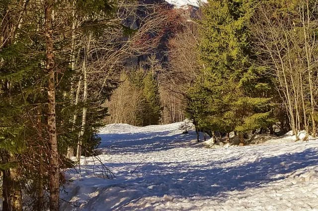 Urgence alarme : 5 erreurs fréquentes à éviter lors d'une alerte