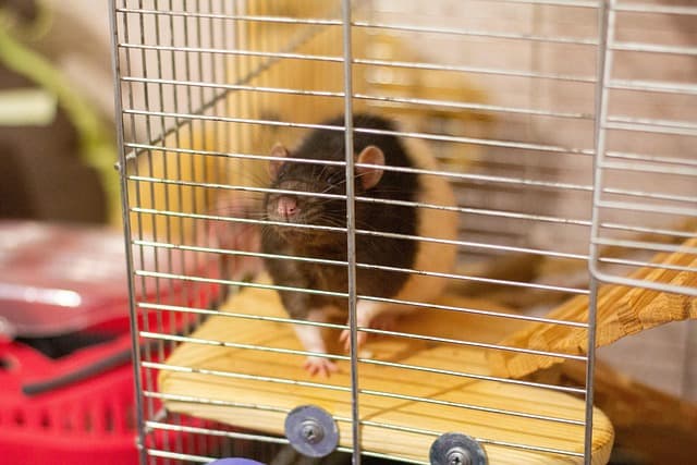 Les gestes à adopter lors d'une alerte d'alarme